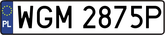 WGM2875P