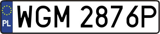 WGM2876P