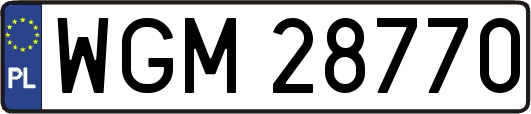 WGM28770