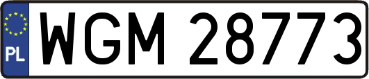 WGM28773