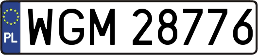 WGM28776
