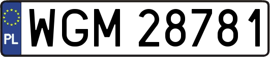 WGM28781
