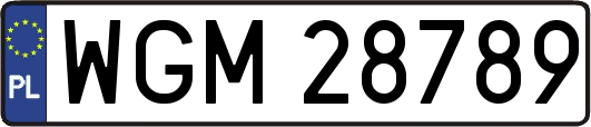 WGM28789