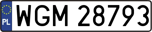 WGM28793
