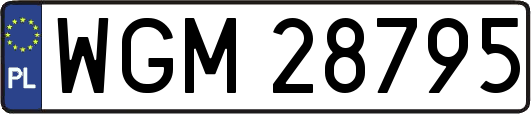 WGM28795