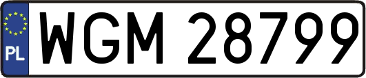 WGM28799
