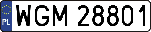 WGM28801