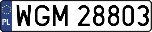 WGM28803
