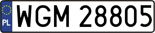 WGM28805