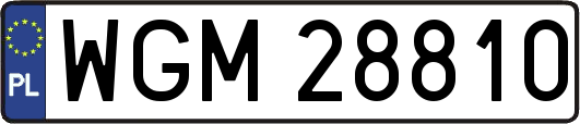 WGM28810