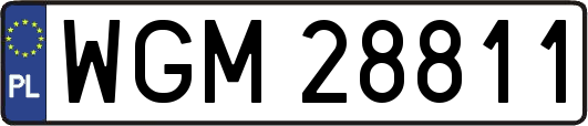 WGM28811