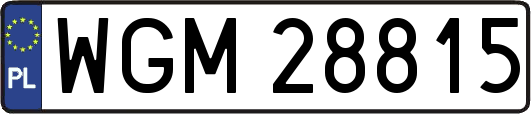 WGM28815
