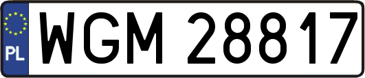 WGM28817