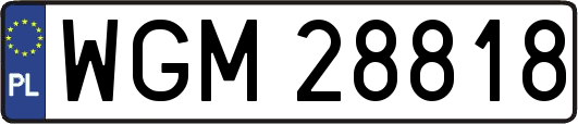 WGM28818