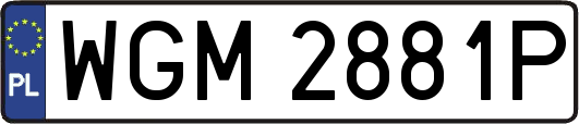 WGM2881P