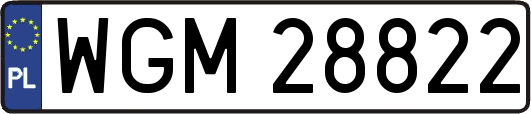 WGM28822
