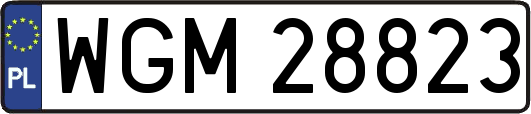 WGM28823