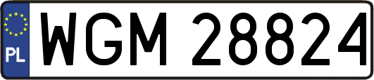 WGM28824