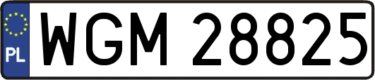 WGM28825
