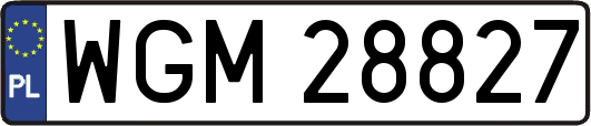 WGM28827