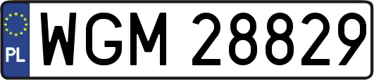WGM28829