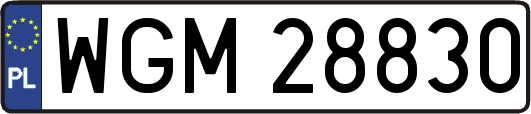 WGM28830