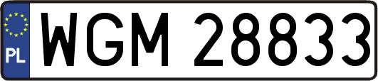 WGM28833