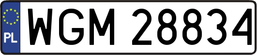 WGM28834
