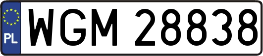 WGM28838