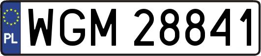 WGM28841