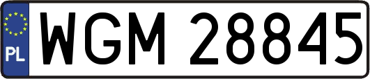 WGM28845