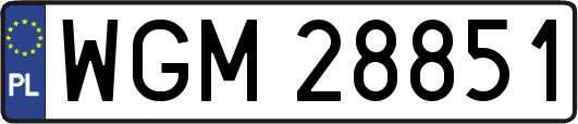 WGM28851