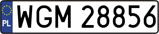WGM28856