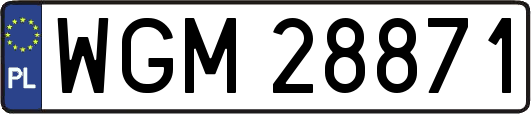 WGM28871