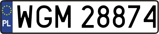 WGM28874