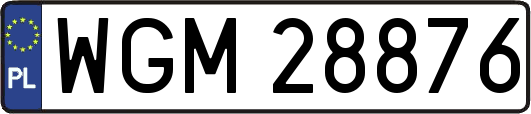 WGM28876