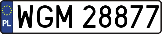 WGM28877