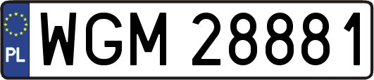 WGM28881