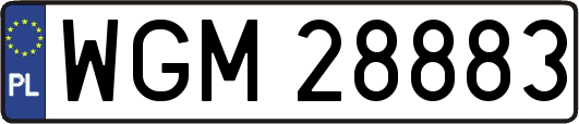 WGM28883