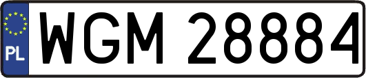 WGM28884
