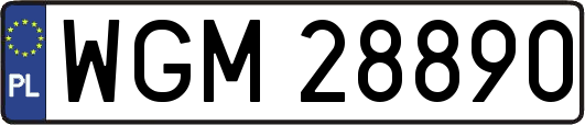 WGM28890