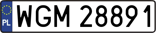 WGM28891