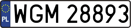 WGM28893