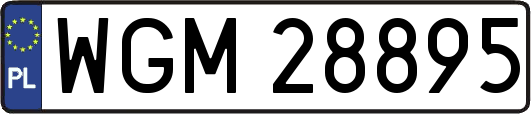 WGM28895