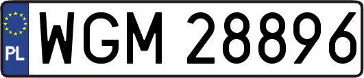 WGM28896