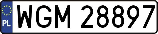 WGM28897