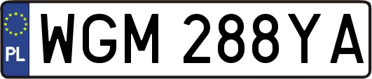 WGM288YA