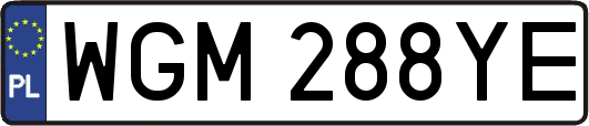 WGM288YE