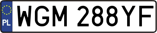 WGM288YF