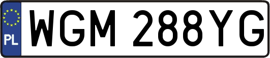 WGM288YG
